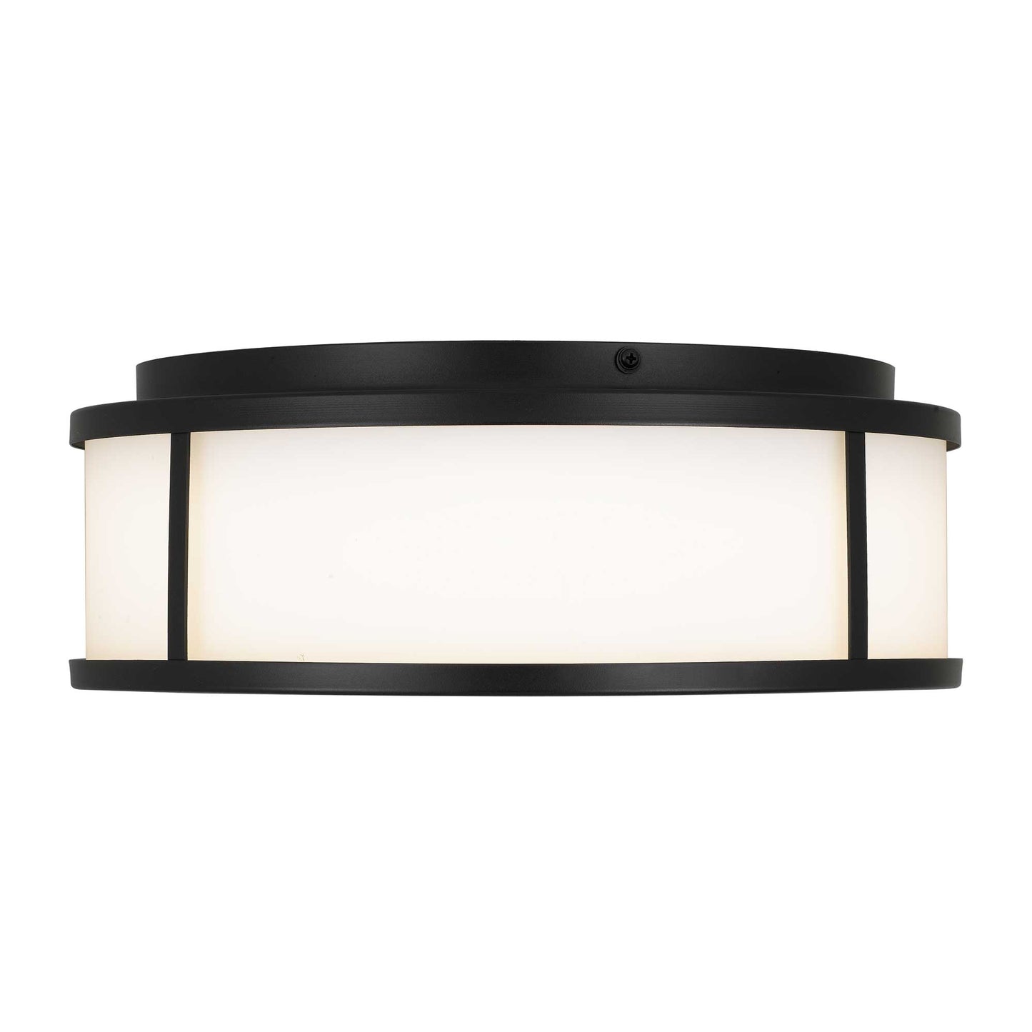 Panel Round 14" LED Flush Mount Black