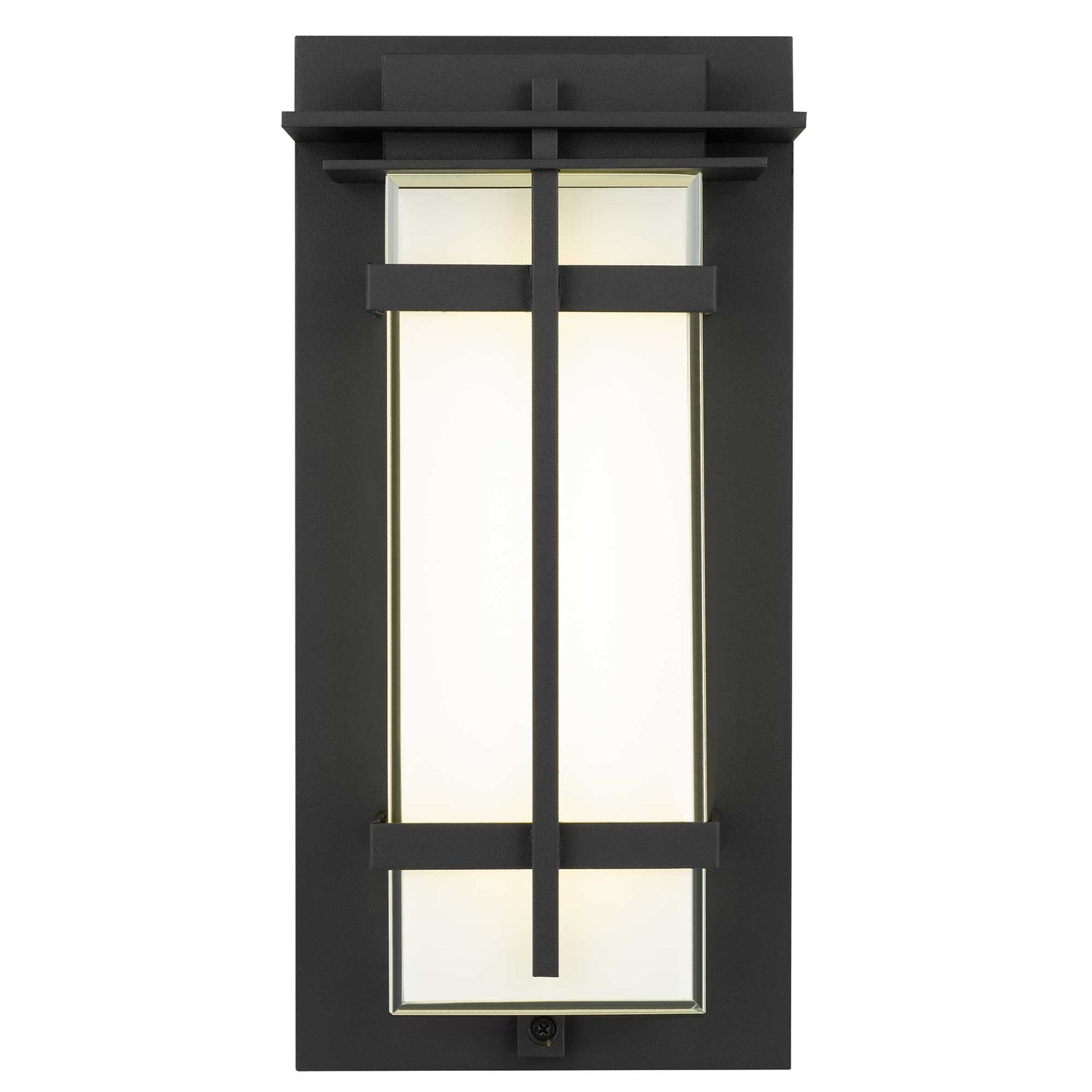 Frank 13.5" LED Wall Sconce