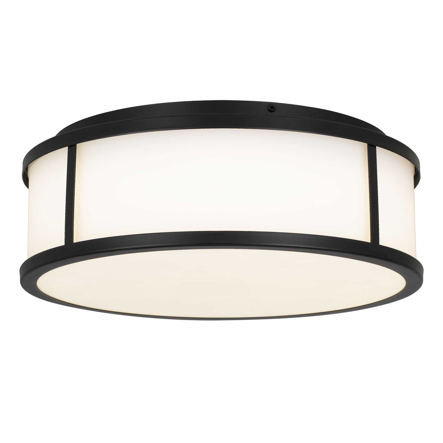 Panel Round 14" LED Flush Mount Black