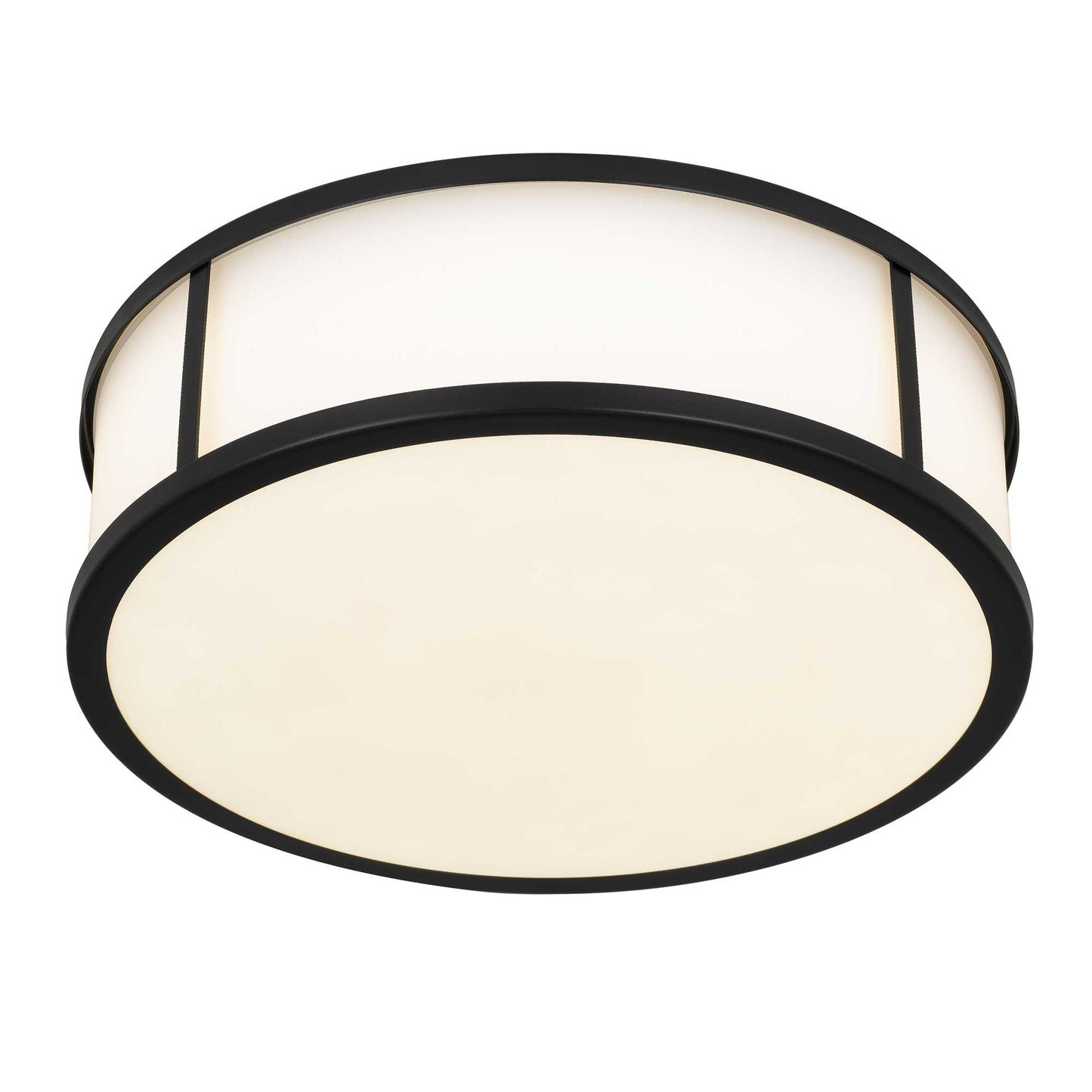 Panel Round 14" LED Flush Mount Black