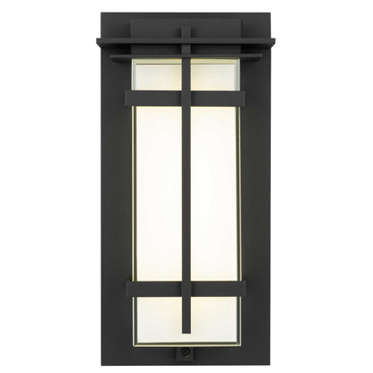 Frank 13.5" LED Wall Sconce