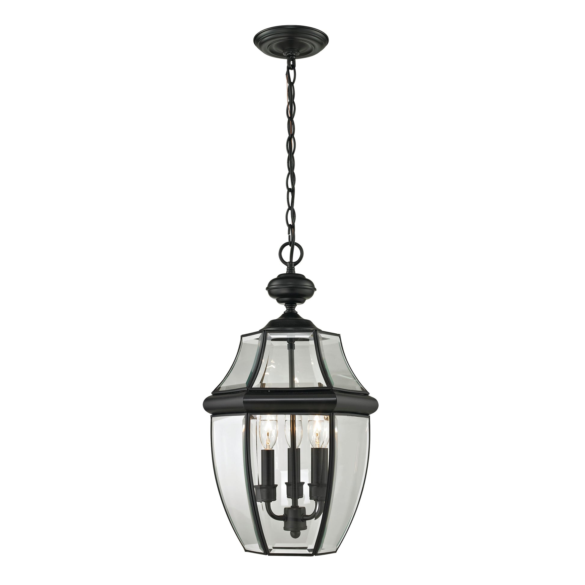 Elk Lighting Ashford 12'' Wide 3-Light Outdoor Pendant - Black