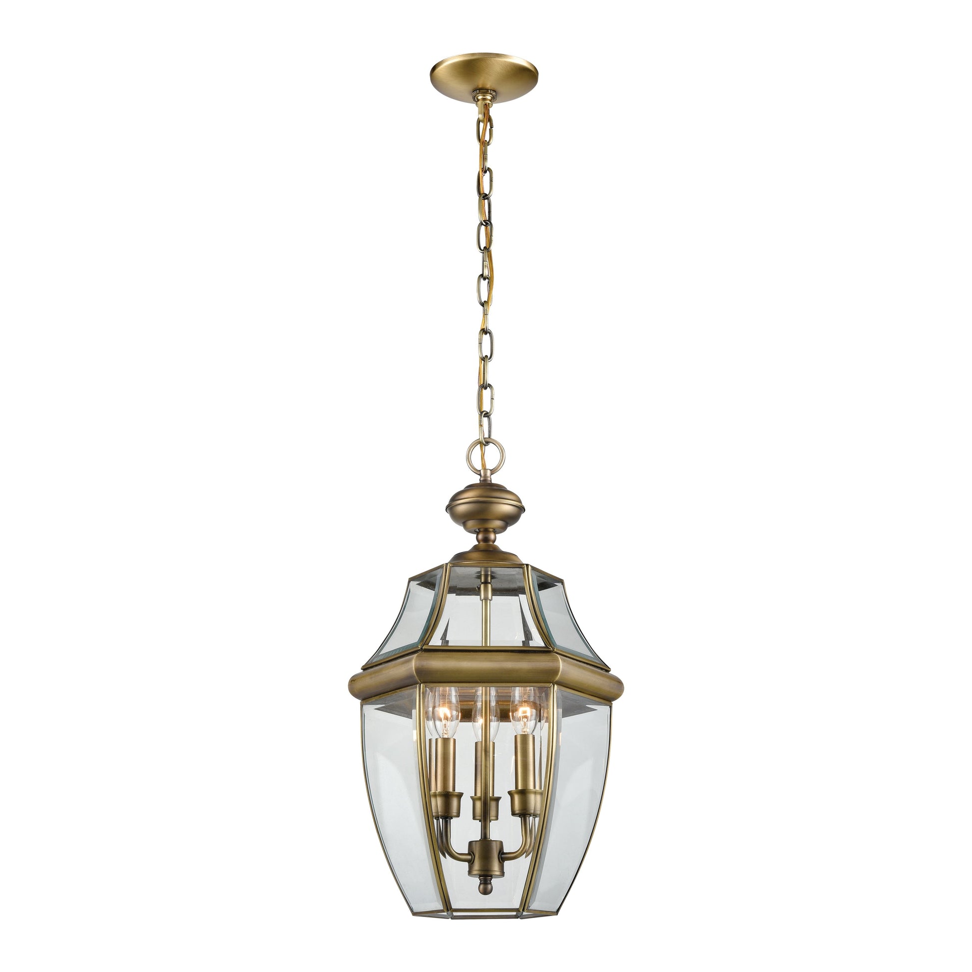 Elk Lighting Ashford 12'' Wide 3-Light Outdoor Pendant - Antique Brass