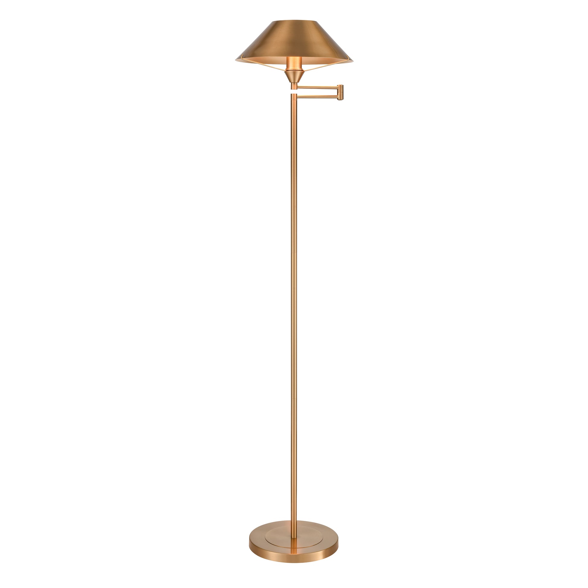 Elk Lighting Arcadia 63'' High 1-Light Floor Lamp - Aged Brass